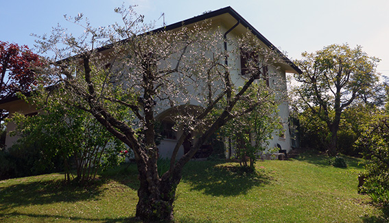 Casa per le vacanze - Lago di Garda